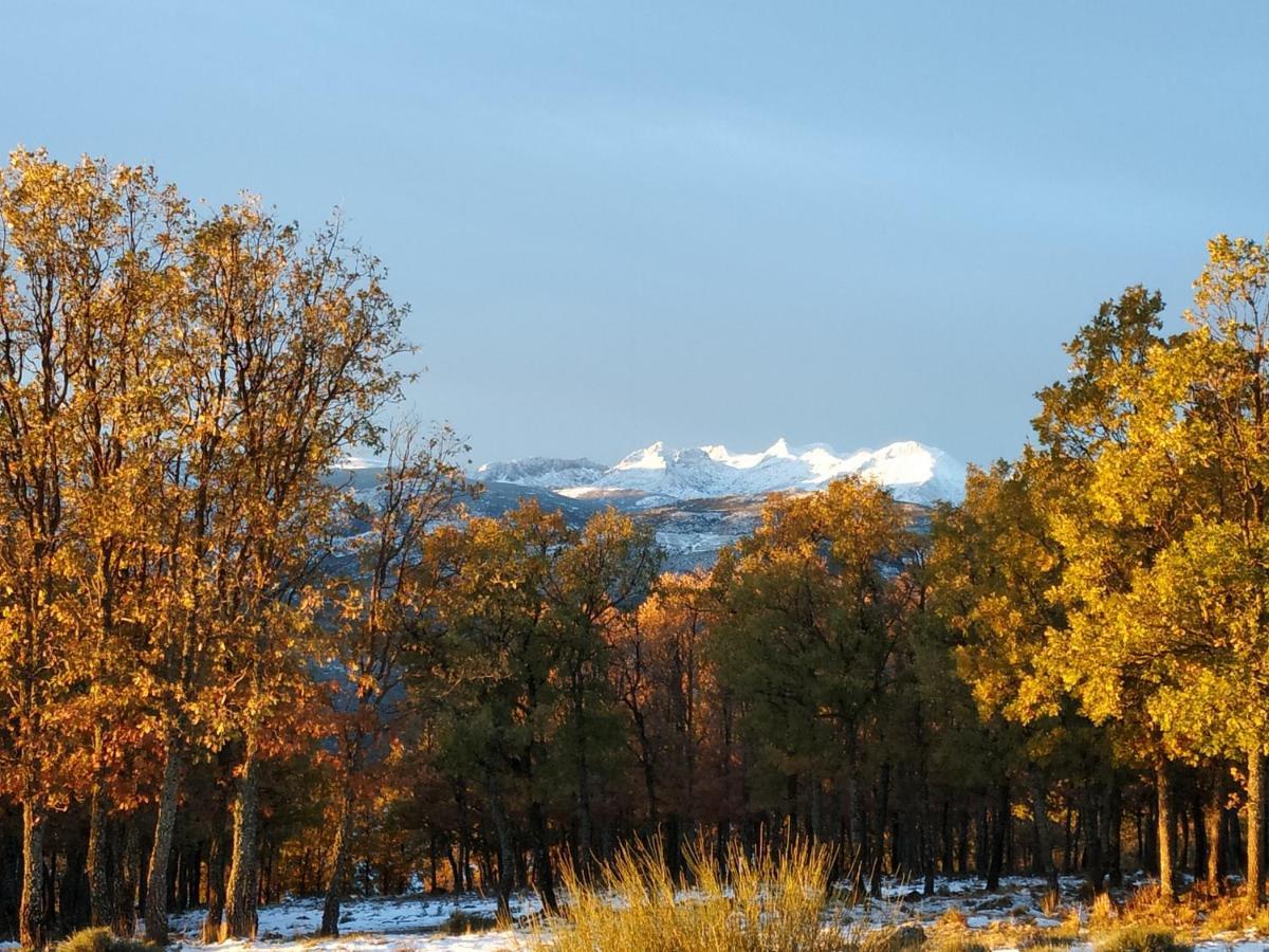 Гостевой дом El Rondillo De Gredos Ойос-дель-Кольядо Экстерьер фото